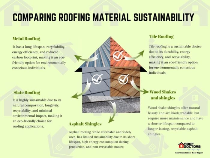A Closer Look at Sustainable Roofing Practices - Roof Doctors