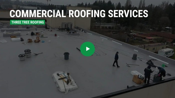 Seattle Commercial Roofing Contractor: Industrial Roof: Three Tree