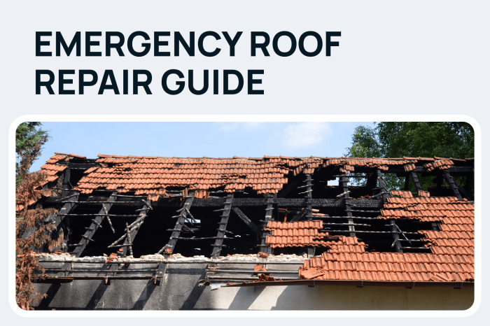 Emergency Roof Repair Guide Illinois Storm Response