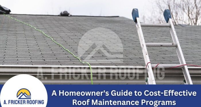 A Homeowner's Guide to Cost-Effective Roof Maintenance Programs