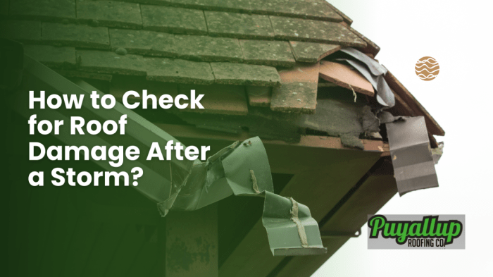 How to Check for Roof Damage After a Storm? - Puyallup Roofing Company ...