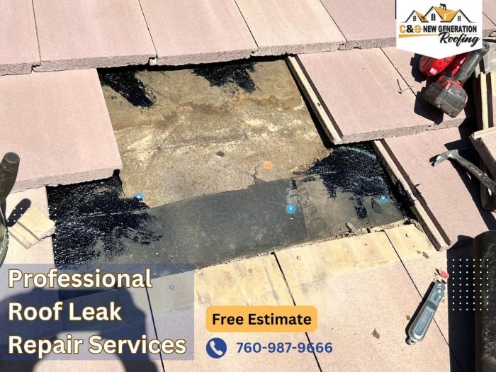 Leak Repair