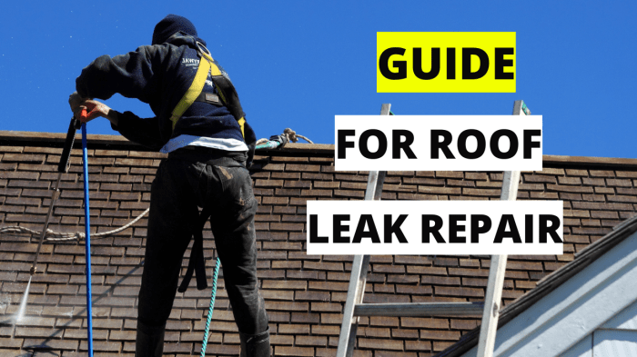 Cost Of Roof Leak Repair at Larry Christensen blog