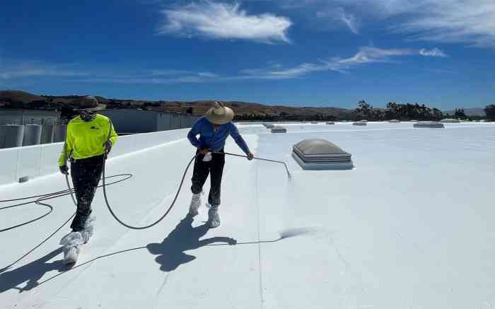 Commercial Roof Coatings | GoGreen Roofing Corp.