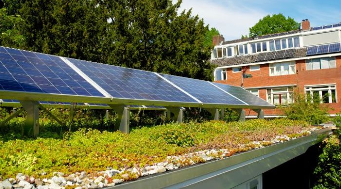 Embracing Sustainability: Tile Roofs Canada's Eco-Friendly Clay and ...