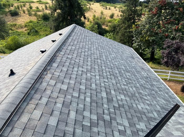 Roofing company near me | Peak Performance Roofing | Roof Replacements ...