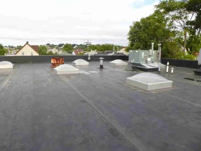 How to waterproof a flat roof | Waterproofing Contractor