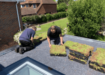 Green Roof Installation Cost: A Comprehensive Guide for Homeowners