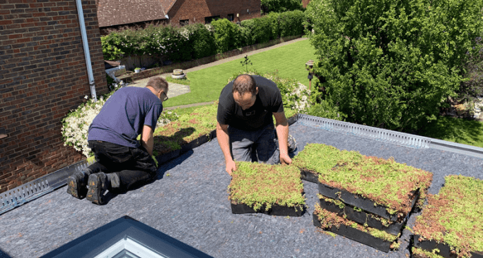 Green Roof Installation Cost: A Comprehensive Guide for Homeowners
