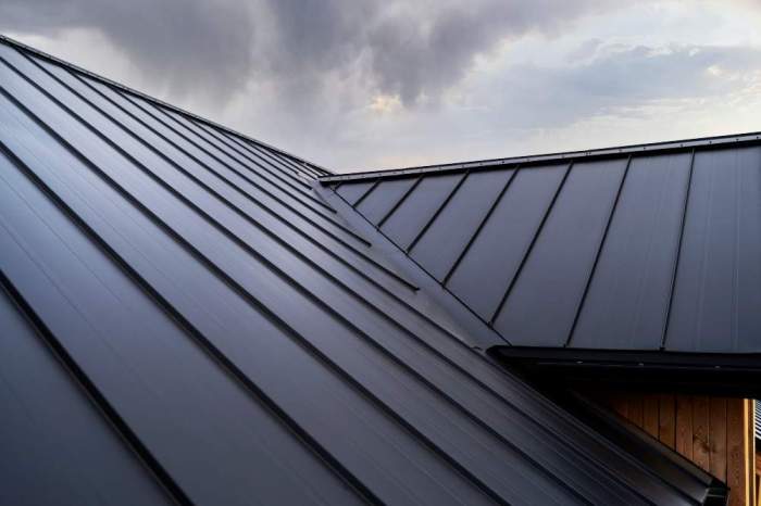 The Best Metal Roofing Companies for Homeowners - DML USA Roofing
